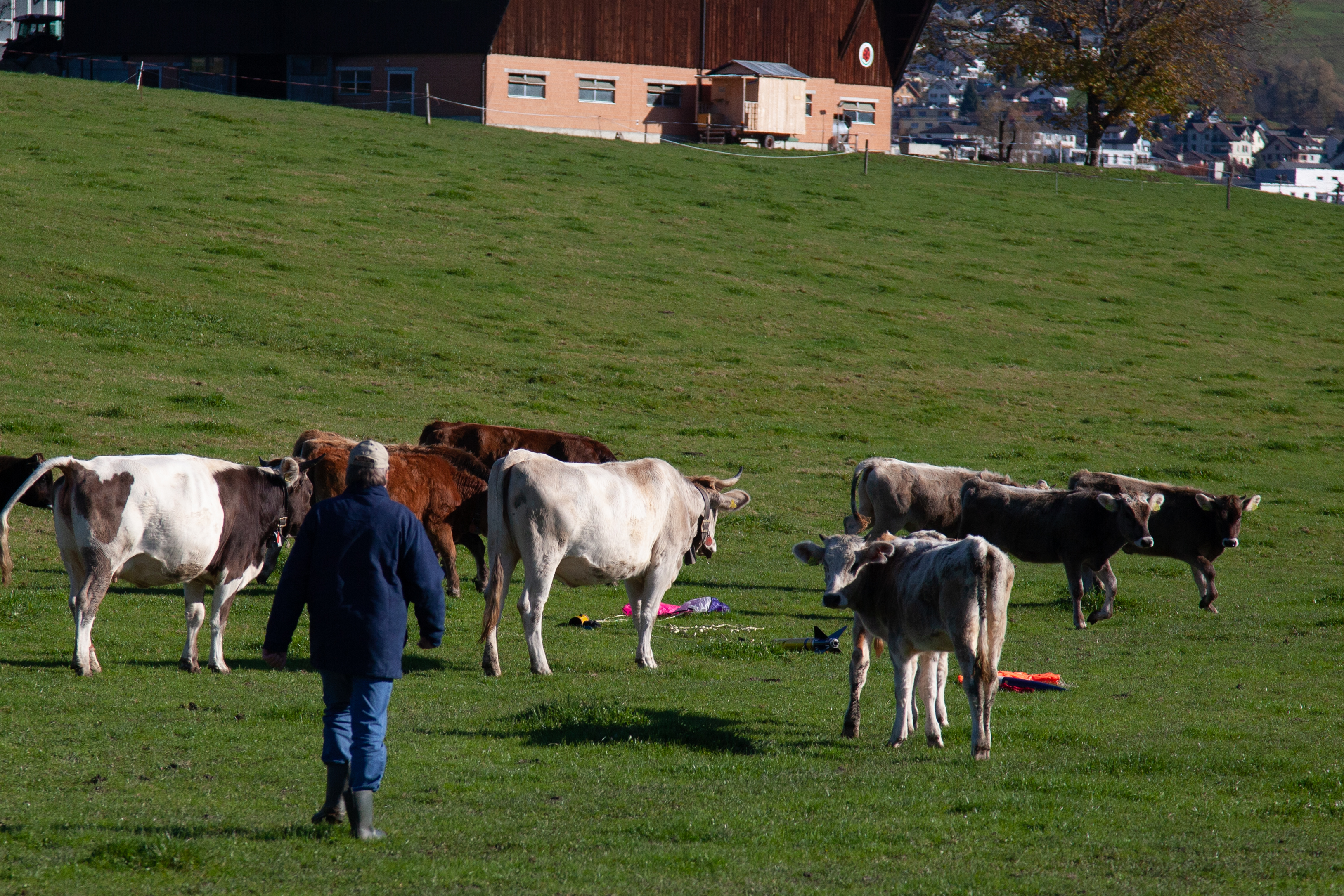 Kaltbrunn 06 11 2021 (12 von 17)